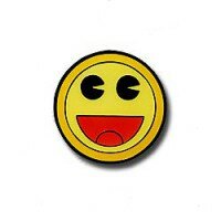 Pin Foundit