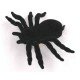 Spinne cache container 