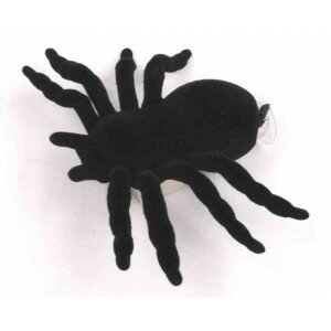 Spinne cache container 