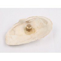 Schelp cache container