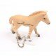Trackable Animal - horse Fjord foal