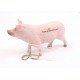 Trackable Animal - Pig - Sow