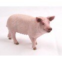 Trackable Animal - Schwein