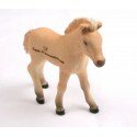 Trackable Animal - Fjordpferd Fohlen