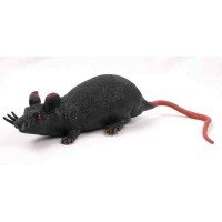 Grusel-Ratte, mit Geocaching Behälter - Schwarz