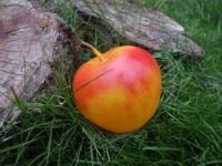 Geocaching-Apfel