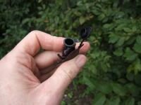 Geocache Kakerlake