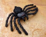 Geocache Behlter, Gruselspinne Cacharantula