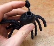 Geocache Behlter, Gruselspinne Cacharantula