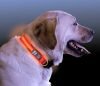 LED-Hundehalsband, Nite Ize (gro)