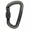 D-Karabiner - Singing Rock Extasy Screw (schwarz)